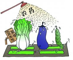 DNTS-P016 食品中氨基甲酸酯類農(nóng)藥殘留 18項(xiàng)
